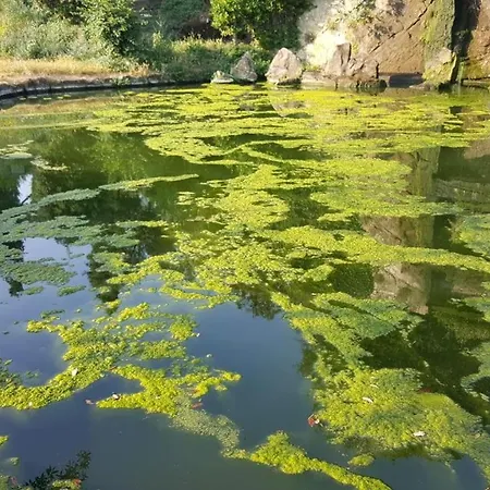 Affittacamere Eur Arcobaleno