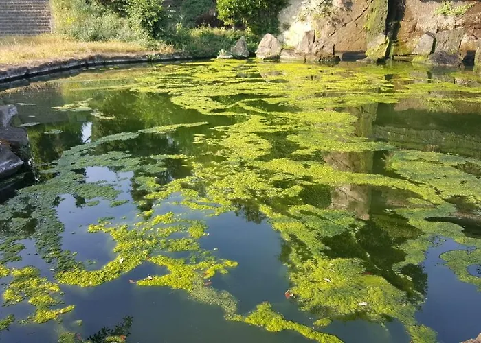 Affittacamere Eur Arcobaleno